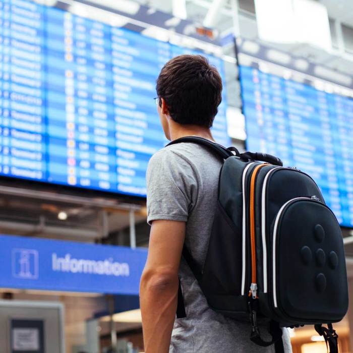 Travel terlambat berangkat mohon perbaikan layanan arnes