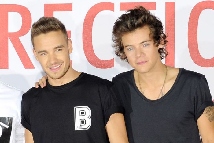 MEDIA INFORMASI INDONESIA Liam Payne dan Harry Styles