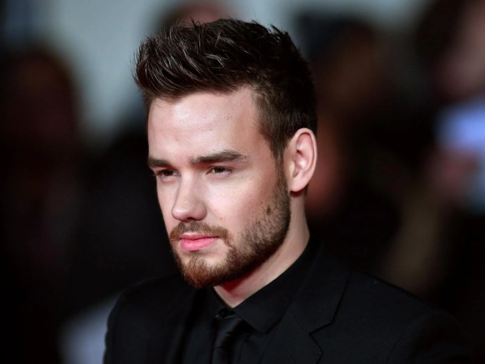 MEDIA INFORMASI INDONESIA Liam Payne dalam proyek film